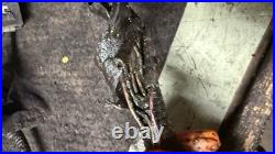 2001 Dodge Ram 3500 Cummins Diesel Engine Bay Harness Manual Trans 2wd Note