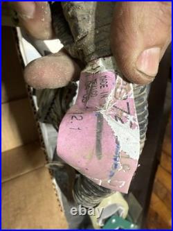 2005 Dodge Ram 5.9 Cummins Diesel Engine Wiring Harness Rear #3972348 MANUAL