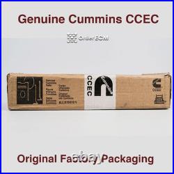Cummins 3052255 OEM Genuine Fuel Injector PTD KTA19 KTA38 KTA50 QSK19 Diesel Cummins 3052255 OEM Genuine Fuel Injector PTD KTA19 KTA38 KTA50 QSK19 Diesel