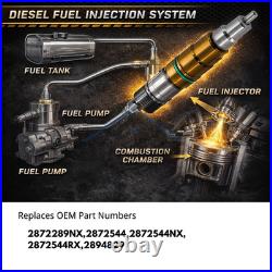 For Cummins ISX12, QSX12 Diesel Engine Fuel Injector 2872544 2872544PX with Tube