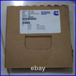 Genuine Cummins 3803967 Piston Kit L10 M11 17.01 Diesel Engine NOS