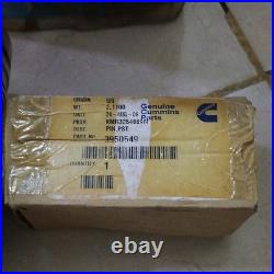 Genuine Cummins 4089934 4955645 Piston Kit QSC 8.3L ISC ISL Diesel Engine