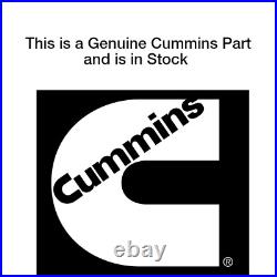 New! Original Cummins Tbe, Byp 4924435