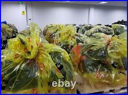 OEM DCEC Cummins 260HP ENGINE complete 8.3C 6C 6CTA C260 260 HP No Core Charge