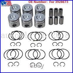 Standard Size Bowl Piston Set with Rings / Pins For 94-98 Dodge Cummins 5.9 12V US